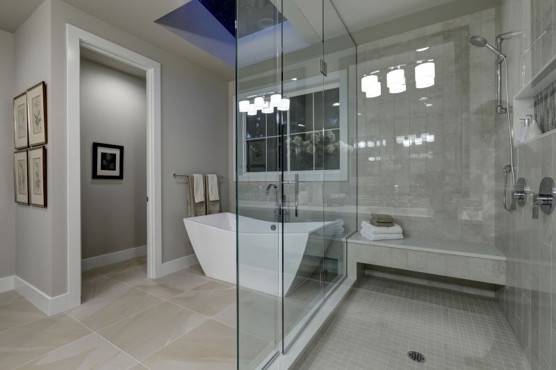Elegant Tub to Shower Conversion